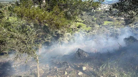 Muğla'da Temizlik Ateşi Yangına Dönüştü