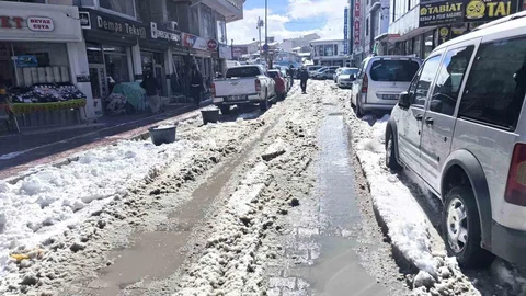 Van'da Altyapı Sorunları ve Temizlik Tepkisi