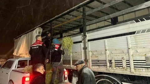 Hayvanlar İçin Yardım Eli Uzandı