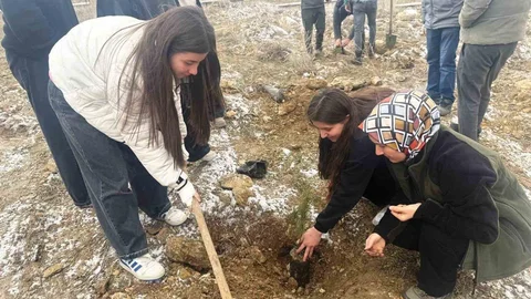 Altıntaş'ta Fidan Dikimi Etkinliği