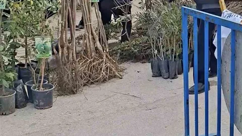 Bursa'da Seyyar Satıcılardan Saldırı