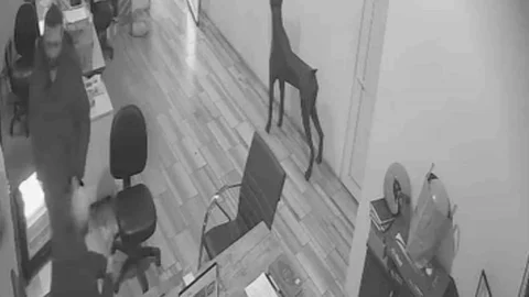 Bursa'da Şaka Sonrası Yangın