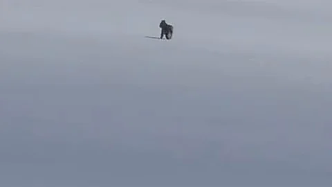 Adilcevaz'da Vaşak Görüntülendi