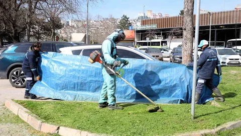 Kocaeli'de Yeşil Alan Bakımları Yapılıyor