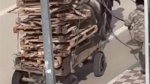 Bursa'da At Arabası Tepkisi