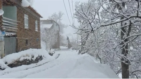Bahçesaray'da Kar Tünelleriyle Hayat Devam Ediyor