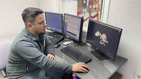 Zonguldak'ta Sokak Köpeğine Zorlu Operasyon Yapıldı