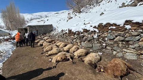 Van'da Ahır Yangını: 67 Hayvan Telef Oldu