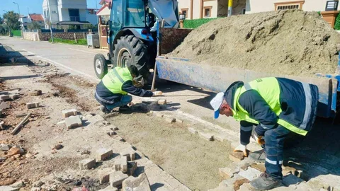 Didim'de Saha Çalışmaları Devam Ediyor