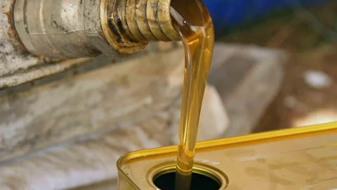 Türk Çam Balının Ekonomik Payı Artacak