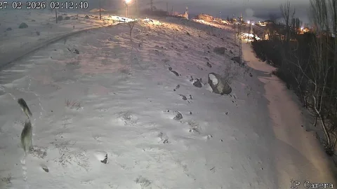 Niğde'de Aç Kalan Kurtlar Köye İndi