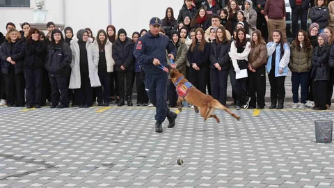 Nevşehir'de İtaat Köpeği Gösterisi