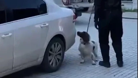 Denizli'de Narkotik Operasyonu Gerçekleşti