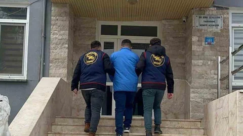 Muğla'da Jandarma Operasyonları Sonuçları