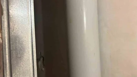FETÖ Firarisi Şadan Sakınan Yakalandı