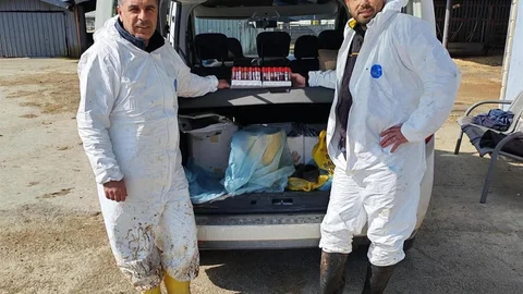 Tekirdağ'da Hayvan Sağlığı Denetimi