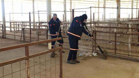 Nazilli Hayvan Pazarı Yeniden Açılıyor