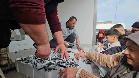 Edirne'de Hamsi Dağıtımı Hızla Tükendi
