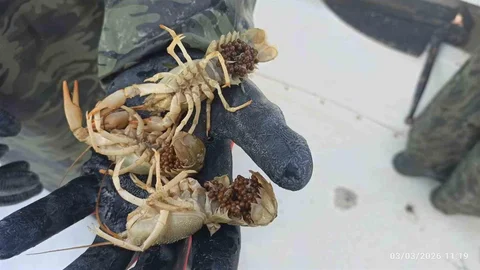 Eğirdir Gölü’nde Kaçak Avcılık Denetimi