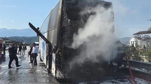 Yolcu Otobüsü Yangınında Tavuklar Telef Oldu
