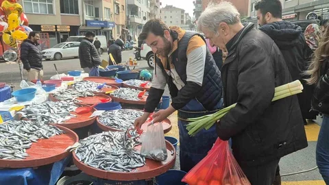 Tekirdağ'da Hamsi Fiyatları Düşüyor
