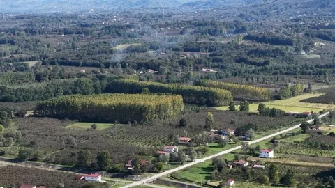 Çarşamba Ovası Meyve Üretiminde Öne Çıkıyor