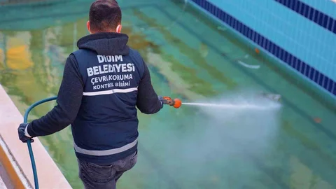 Didim'de Vektörle Mücadele Devam Ediyor