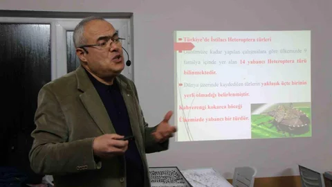 Amasya'da Kahverengi Kokarca Uyarısı