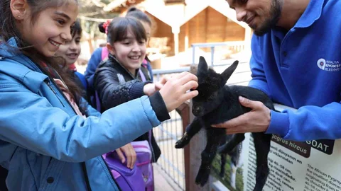 Antalya'da Çocuklara Yaban Hayatı Eğitimi