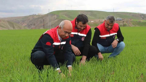 Siirt'te Yağışlar %150 Arttı