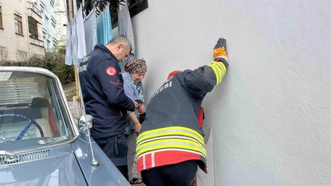 Ordu’da Kedi Kurtarma Operasyonu
