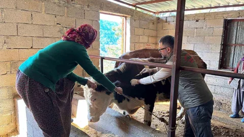 Gazipaşa’da Hayvan Sağlığı İçin Çalışmalar Devam Ediyor