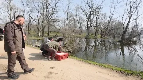 Karacabey Longozları'nda Yaban Hayatına Özgürlük Verildi