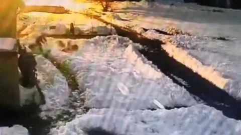 Kars'ta Kurt Sürüsüne Kürekle Müdahale