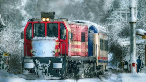 Turistik Doğu Ekspresi 10 bin 166 yolcu taşıdı