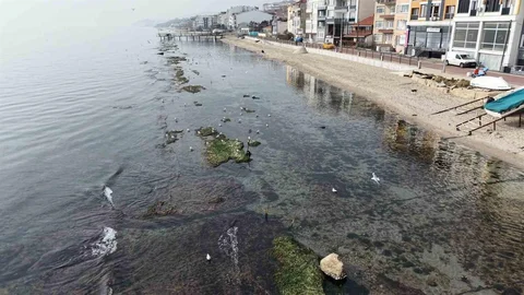 Tekirdağ'da Deniz Çekildi, Kral Yolu Göründü