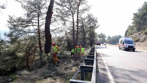 Muğla’da Yangın Öncesi Temizlik Çalışmaları
