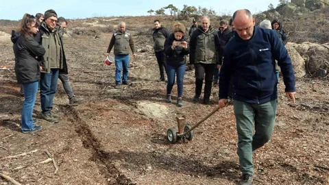 Eskişehir'de Ağaçlandırma Çalışmaları Başladı