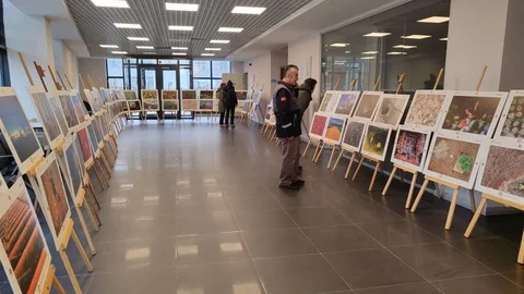 Sinop'ta Tarım Sergisi Açıldı