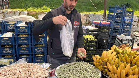 Datça Bademi Yatağan'da Satışta