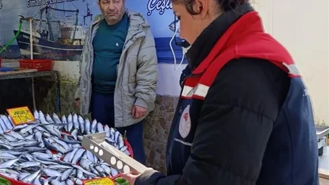 Tekirdağ'da Su Ürünleri Denetimi Devam Ediyor