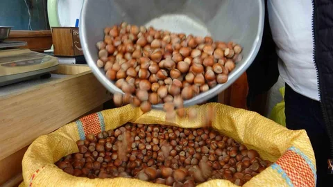 Düzce'den Fındık İhracı Verileri