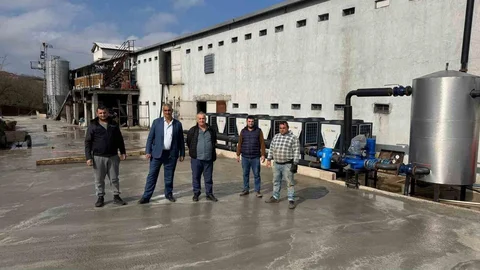 Zonguldak'ta Tavuk Çiftliği Tartışmaları