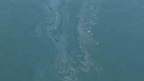 İzmir Körfezi'nde Kirlilik Sorunu