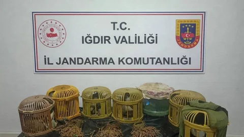 Iğdır'da Kaçak Keklik Avcılarına Ceza Verildi