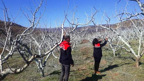Samsun'da Tarım Uyarısı