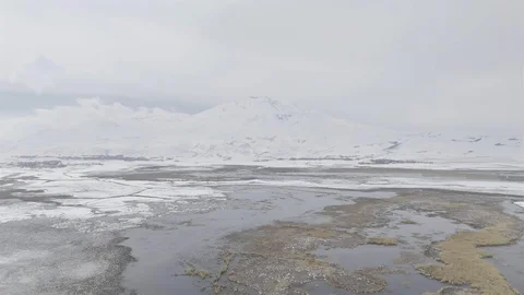 Sarısu Sazlıkları ve Süphan Dağı'nın Görkemi