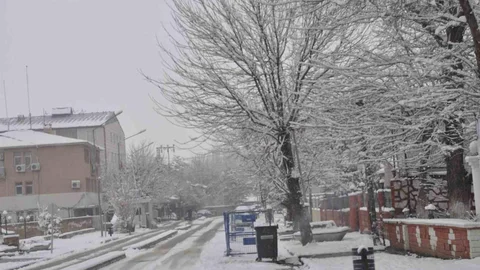 Bulanık Mart ayında beyaz büründü
