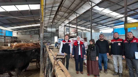 Düzce'de Kadın Yetiştiricilere Destek