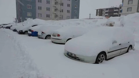 Bitlis'te Yoğun Kar Yağışı Etkili Oldu